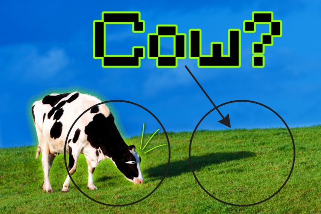 a diagram of the difficulties AI software may have distinguishing the image of a cow from the landscape around it