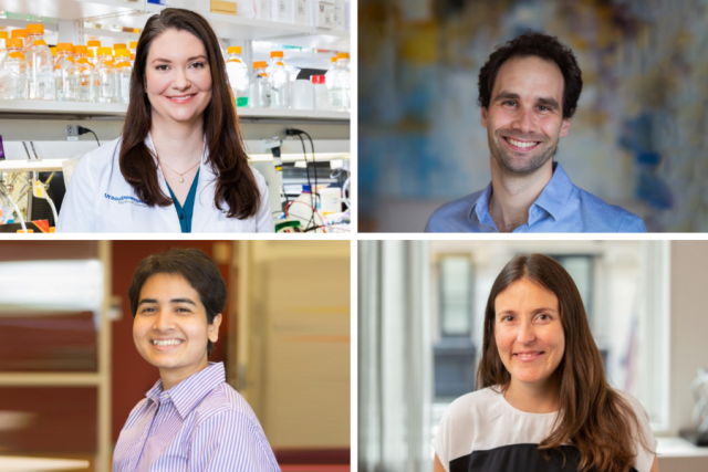 Photos of the four NIH award winners