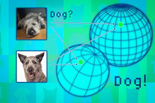 Photos of dogs from large and small data sets to illustrate a data model acting with increased focus